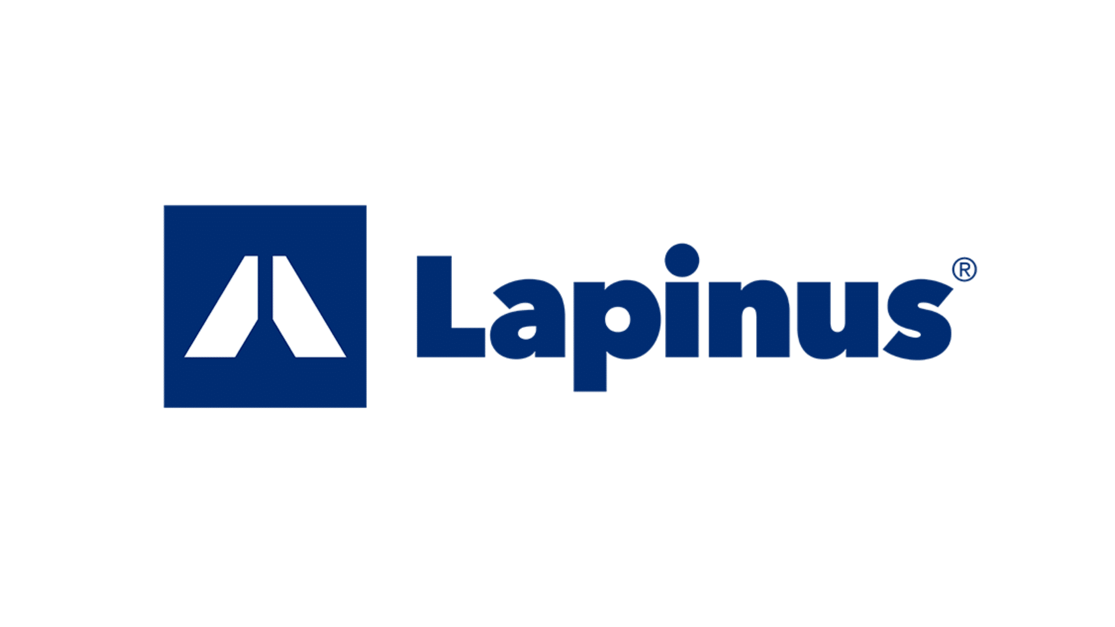Development Manager Automotive - Lapinus