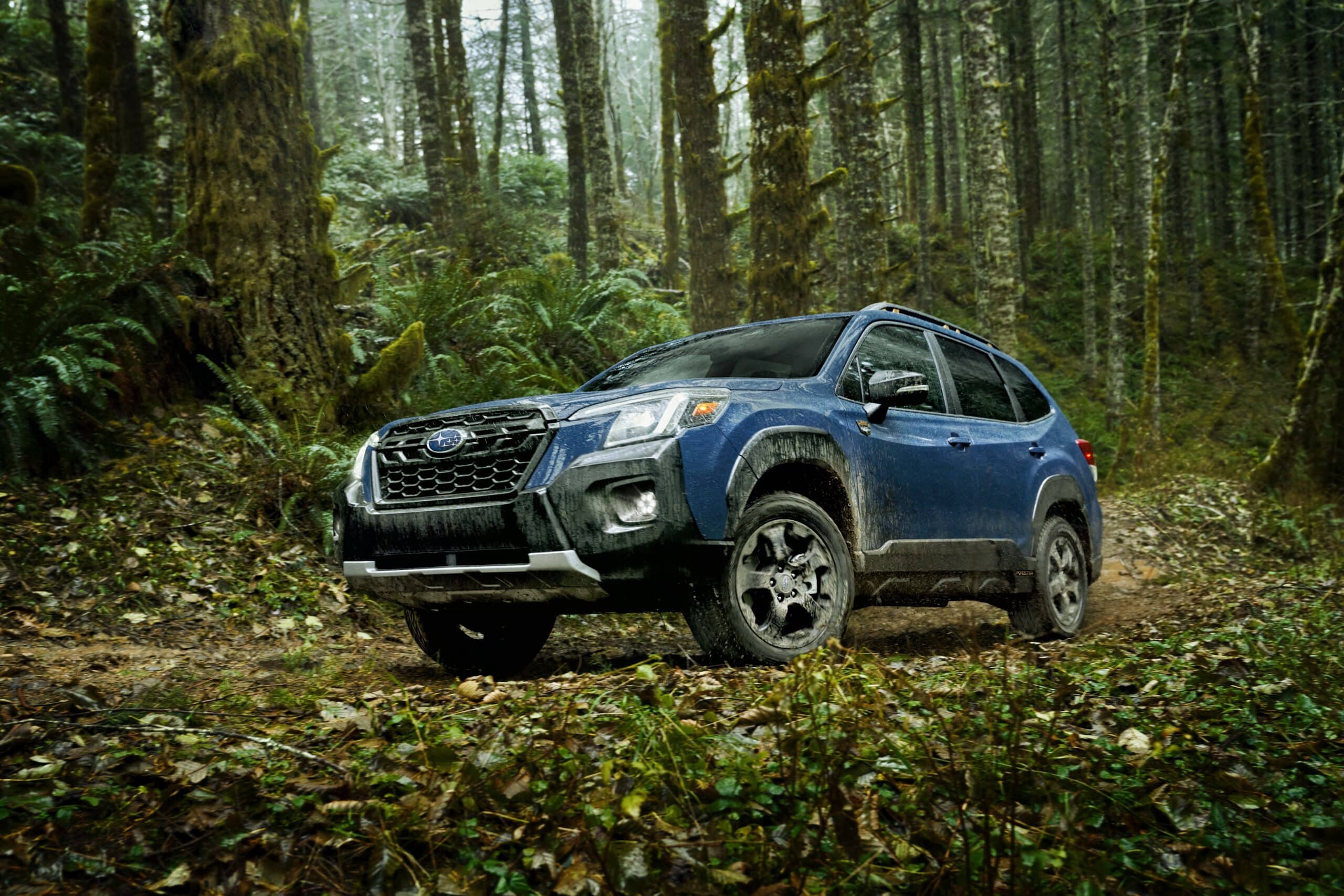 Wilderness Ready to Take Subaru Forester Outside the Lines The BRAKE